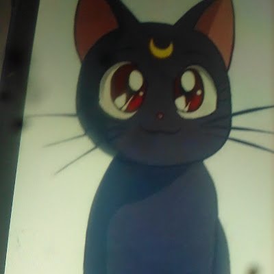 ANTONIO81331536's profile picture. 