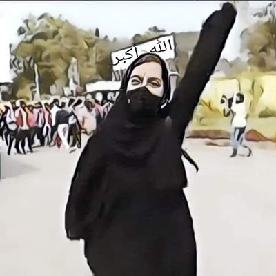 P_Durrani's profile picture. 