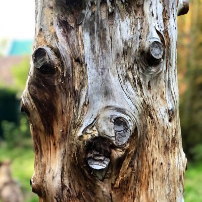 ElsbethHoops's profile picture. Ich lese mit, teile & kommentiere manchmal