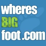 A leading PPC search engine network, we combine sourcing the world’s best traffic and providing an enjoyable search experience to our millions of users.