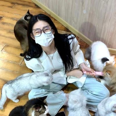 candybons's profile picture. she/her

mostly for ytsn

eng/ch