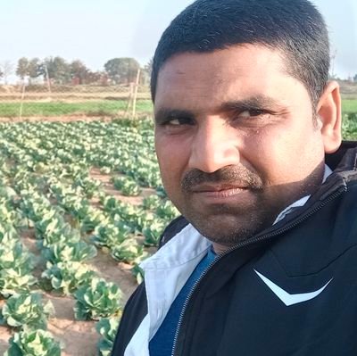 budham Sarnam gachchhami