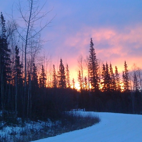 RootRiver1's profile picture. 