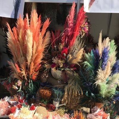 GundemMehtap's profile picture. 