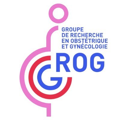 GROG_StudyGroup Profile Picture