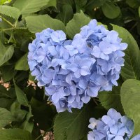 ３回結婚できた男 (@bnpmpsajvxpcaju) Twitter profile photo