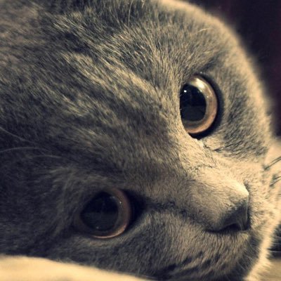 ToMotOmO33_33's profile picture. スノボ楽しい♡