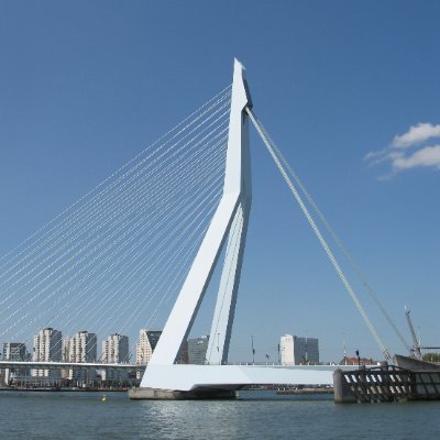Tweets over Rotterdam en omgeving. Alles wat gers is.