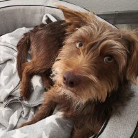 Nina_Fr (@ninedde) 's Twitter Profile Photo