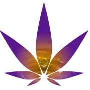 Education, information, trends, networking and consulting for bridging understanding and compliance between the Cannabis and Banking industries.
