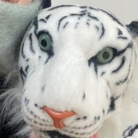 🐯👼🏻💫 (@yobinotiger_tj) 's Twitter Profile