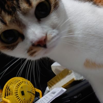 Hei0220's profile picture. 