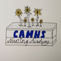 camhsnursingacademy(@camhsnursing) 's Twitter Profileg