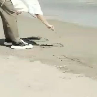 shizume18's profile picture. 