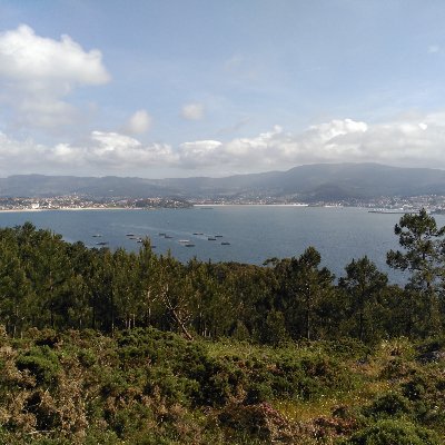 loloms76818125's profile picture. 