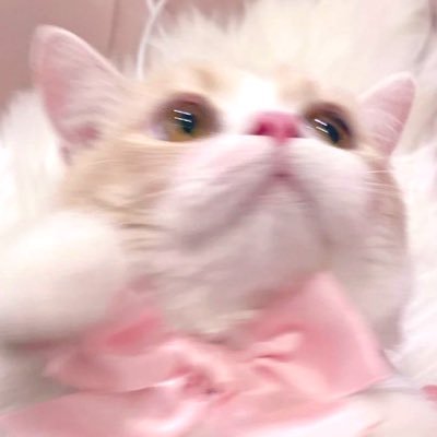 ぷ( ˙³˙ )さんのプロフィール画像