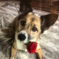 jill Allen (@jillyallen16) 's Twitter Profile Photo jill Allen (@jillyallen16) 's Twitter Profile Photo