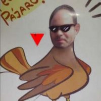 Pedro Quintana(@PedroVQG67) 's Twitter Profile Photo