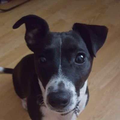 Michael42210406's profile picture. 