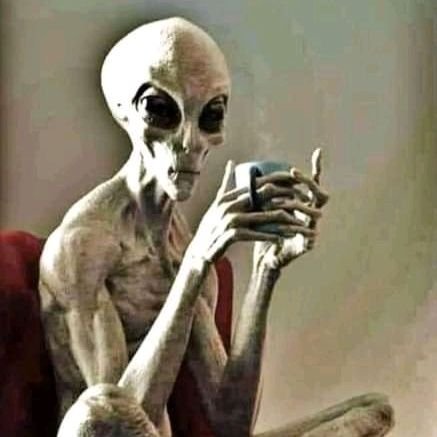 AlSalHim2's profile picture. 