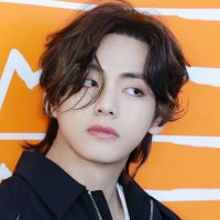 BTSV (@bts_taehyung_jk) 's Twitter Profile