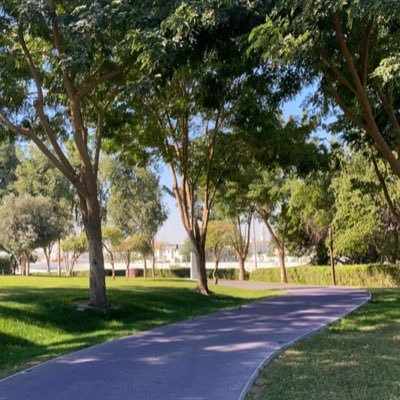 sala888's profile picture. Qatar 🇶🇦 🇰🇼 Don’t Give Up