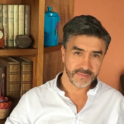 gvallejoalmeida's profile picture. 