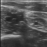 Ferran PN (@fpado20) 's Twitter Profile Photo