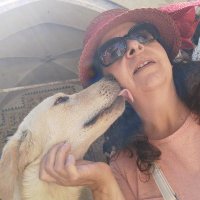 satihatice (@satihatice) 's Twitter Profile