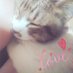 yu-ko (@aqua_marin_033) Twitter profile photo yu-ko (@aqua_marin_033) Twitter profile photo