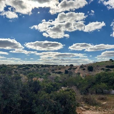 justdriive's profile picture. Driving instructor by day 🚘
Baker by night 👨‍🍳