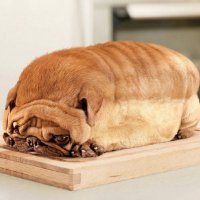 Bread | Giveaways (@breadgiveaways) 's Twitter Profile