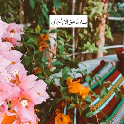 nx_oom's profile picture. 