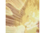 VicRoldan's profile image