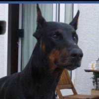 Bulle267 (@45hwgbbsgw) 's Twitter Profile Photo Bulle267 (@45hwgbbsgw) 's Twitter Profile Photo