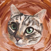 eTpMaxim.eth (@etpmaxim) 's Twitter Profile