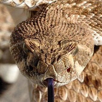 Schofseggl13's profile picture. nix wichtiges