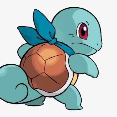 Just a friendly Squirtle trainer. 🐢