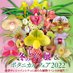 オーキッド＆ボタニカルフェア　9/20-23 (@orchidbotanical) Twitter profile photo