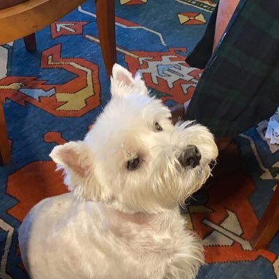 pammath420's profile picture. Political Grandma