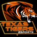 Texas High Tigers Esports (@txhighesports) Twitter profile photo Texas High Tigers Esports (@txhighesports) Twitter profile photo
