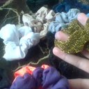 Virginia Cardinal - @Cardin8Virginia - Twitter