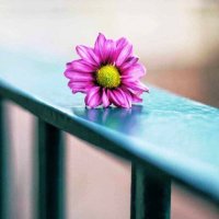 بيسان (@bysan36320273) 's Twitter Profile Photo