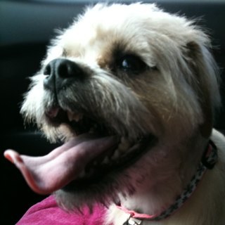 Blairness78's profile picture. 