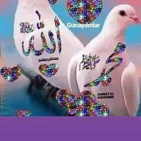 Toprakhatice (@toprakhatice2) Twitter profile photo