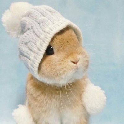 kelelabot's profile picture. 