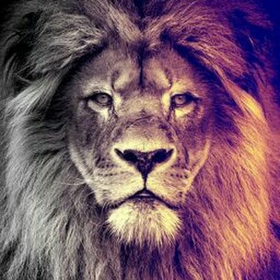 Dont_CallMeJoey's profile picture. 