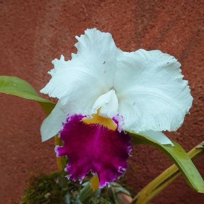 k762957's profile picture. 