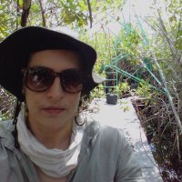 susana.alvarado (@ecohidro_susana) 's Twitter Profile