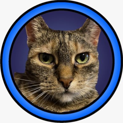 AlongcomesMaxi's profile picture. He/him. Kindheitspädagoge, B.A. Student Medienpädagogik